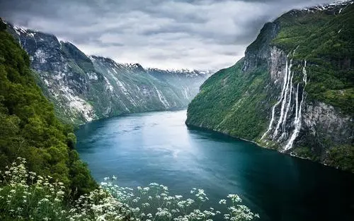 新型高端网络化